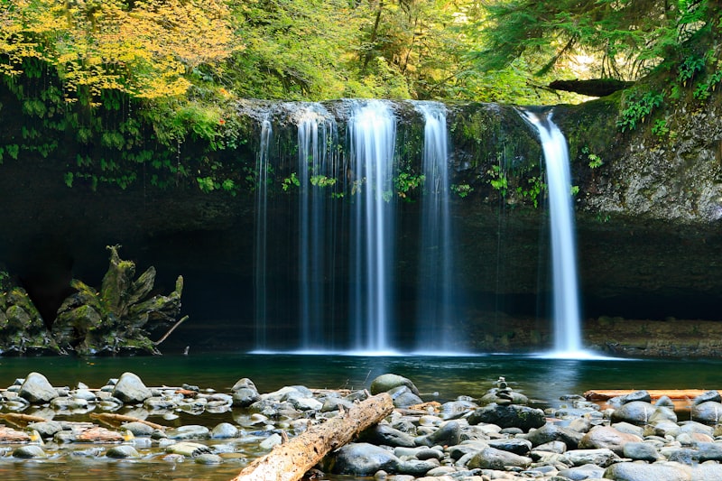 Cascada entre la selva tropical de Costa Rica