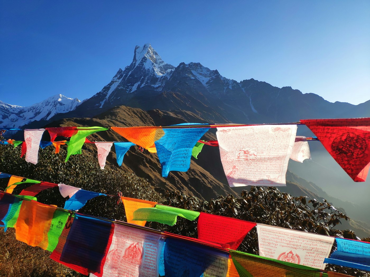 Banderas de oración tibetanas frente al Himalaya