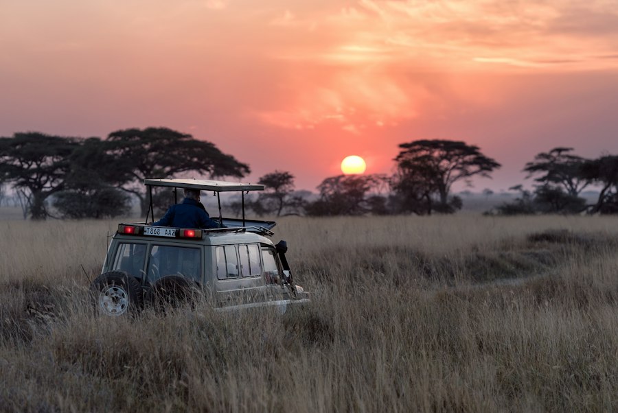 Safari en mokoro por el delta del Okavango, Botsuana